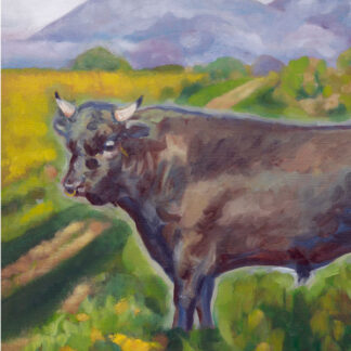 Taurus Aia Leu